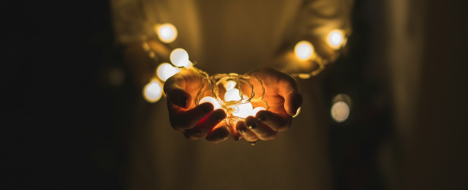 person holding string lights